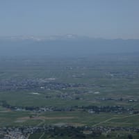 角田山（五倫石～山の神コース）2025梅雨