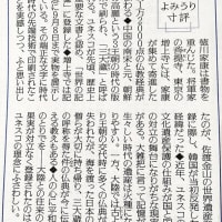 水無月9日（月）現在25.6℃湿度63%梅雨入りの雨に打たれて、=畑から帰宅=