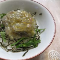 生シラス丼を作る