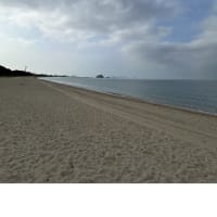 今日の虹ヶ浜