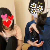 仔猫さん達