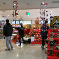 出羽ひな街道オープン！！