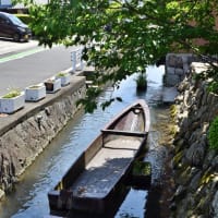 色んな風景～滋賀県東近江市・伊庭水郷集落～