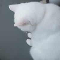 風通るベランダ