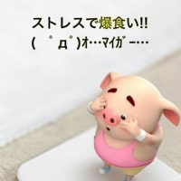 暴飲暴食にはご注意を!!