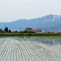 小さな旅