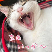 そらちゃん八岁了