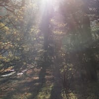 眩しいくらいに