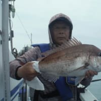 2025　6/20　釣果報告