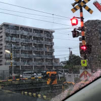 ゴールデンウィーク