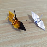 ご無沙汰の投稿。