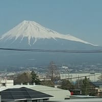 富士は日本一の山! 送電線が邪魔するけど・・・