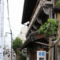 鎌倉　大仏と長谷寺参拝です。