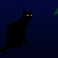 京都　哲学の道で蛍撮り　黒猫と蛍　黒猫三態