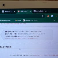 はやとちり　ブログ引越しについて　♪