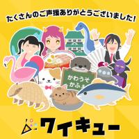  今日のワイキュー結果 - 9/30 最終回 - 全問正解！