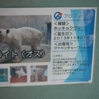 鹿児島でのライト君（2023年＆2024年）