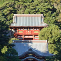 総長ポストを巡る争いが背景か：鶴岡八幡宮、神社本庁離脱