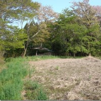 【一関市千厩町】　小梨城跡（洞雲寺）を散策してみました。