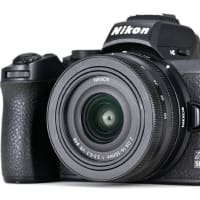 ＮｉｋｏｎＺ５０＊つちのこカメラ