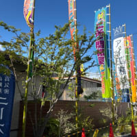 大の里関❣️ オットの北海道土産を携えて帰宅