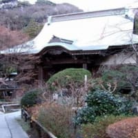 ■細川家ゆかりの鎌倉妙法寺