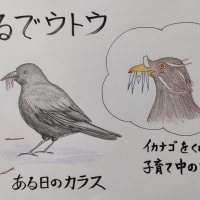 みみずロード