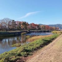 小春日和は散策日和