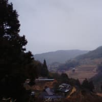 棚田