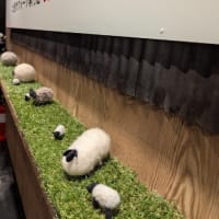 札幌を満喫しました
