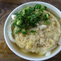 博多のうどん