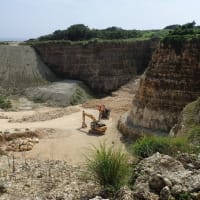 辺野古埋立に沖縄南部地区の土砂を使用する計画が、人道上、環境上の問題で困難となり、政府は、奄美大島からの調達を打ち出さざるを得なくなった。しかし、特定外来生物の侵入を防止する県条例があり、これも困難
