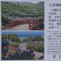形原温泉あじさいの里-3