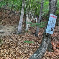  天狗山〜八王子山〜法泉寺山