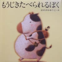 真夏日と運命