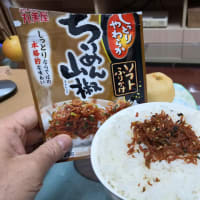 記録：卒業生と上級生へ：2024年の夏休みと秋学期