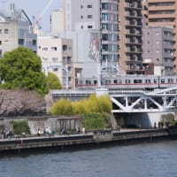 2025/3/30　都内で桜と列車の撮影　前編
