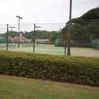 今日は