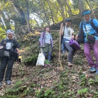 未開の山リトリート体験記前編〜不快を面白がるのも技術のうち！？〜