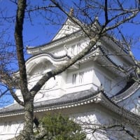 古き城下町・大多喜・・建物は小江戸だけど活気はゼロ。