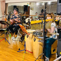 ✨MAYAKOTTO✨Live🎼