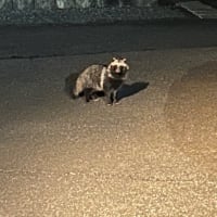 桜？
