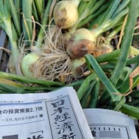5月1日