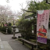 桜の季節の石山寺へ