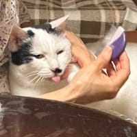 まだ梅雨明け・・してないよね？