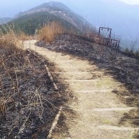 今年も岩湧山の山焼きが行われました。　その1　　2024年4月7日