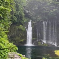ただただうっとりただ有難く・・・富士山めぐりと信州春旅2025＜１＞