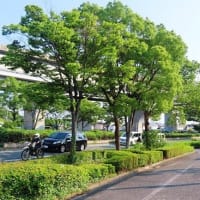 陶器川沿い