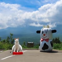 野辺山駅　JR最高地点　平沢峠　獅子岩　ニッコウキスゲ