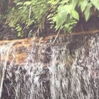 6月の旅②〜白糸の滝の涼風を楽しむ